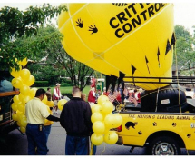 Attending Community Events