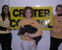 Staff Pictured with a Pig